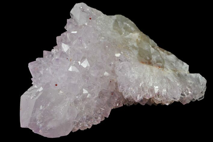 Cactus Quartz (Amethyst) Crystal - South Africa #132458